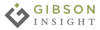 Gibson Insight